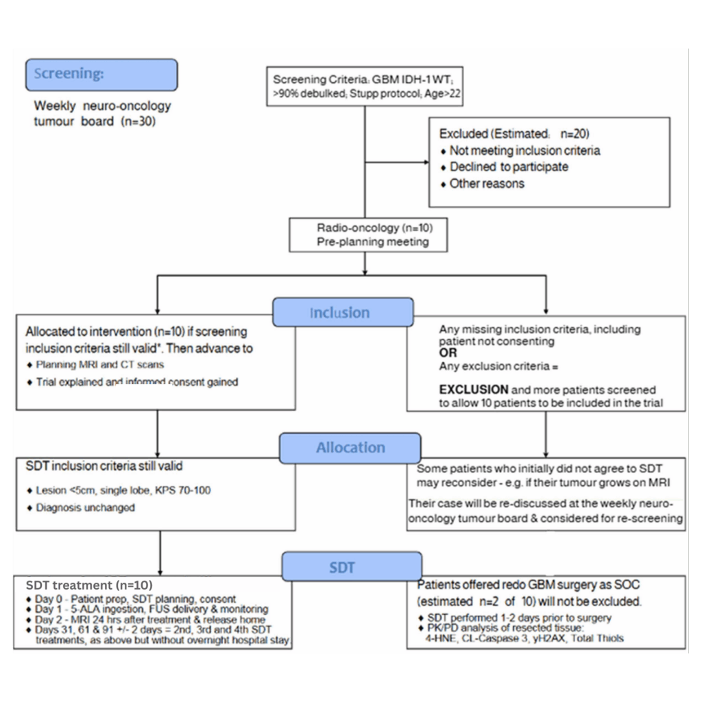 Flowchart SDT treatment