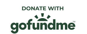 Donate with gofundme